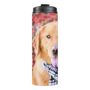 Golden Retriever In Scarf Thermal Tumbler