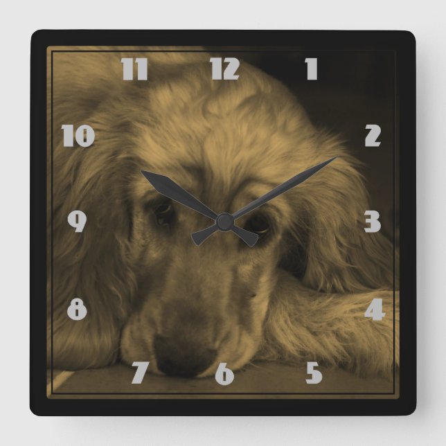 Golden Retriever in Sepia Tones Square Wall Clock (Front)