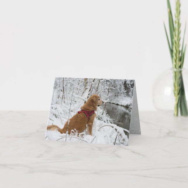 Golden Retriever in Snow by Creek Holiday Card (Front)