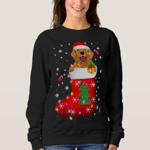 Golden Retriever In Sock Christmas Sweatshirt