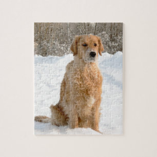 Golden Retriever in the Snow Jigsaw Puzzle