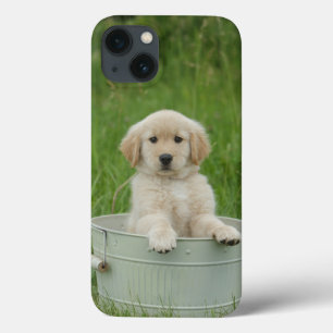 Golden Retriever In Wash Basin iPhone 13 Case