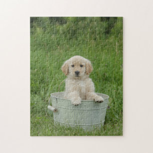 Golden Retriever In Wash Basin Jigsaw Puzzle