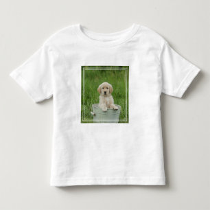 Golden Retriever In Wash Basin Toddler T-Shirt