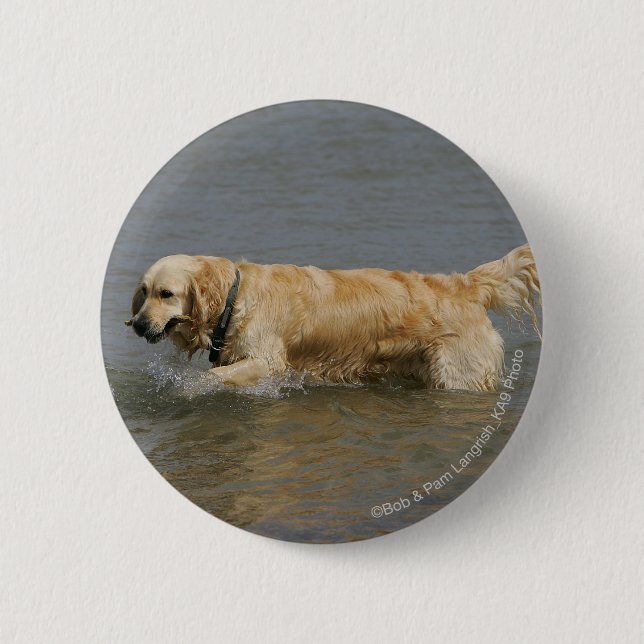 Golden Retriever in Water 6 Cm Round Badge (Front)