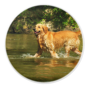 golden-retriever-in water ceramic knob