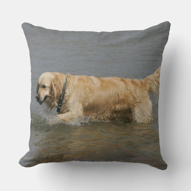 Golden Retriever in Water Cushion (Front)
