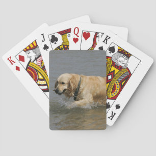 Golden Retriever in Water Playing Cards