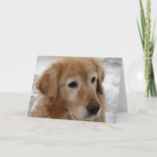 Golden Retriever in Winter Card