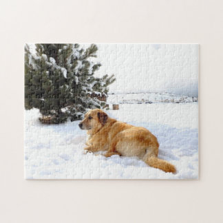 golden retriever runny nose nose jigsaw puzzles zazzle au golden retriever runny nose nose jigsaw puzzles zazzle au