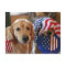Golden Retriever Independence Day Postcard