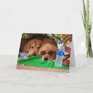Golden Retriever Indoor Picnic Greeting Card