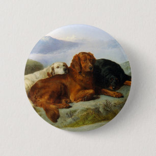 Golden Retriever, Irish and Gordon Setter Button