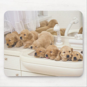 Golden Retriever; is a relatively modern and 2 Mouse Pad