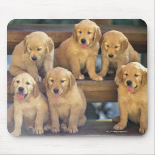Golden Retriever; is a relatively modern and Mouse Pad