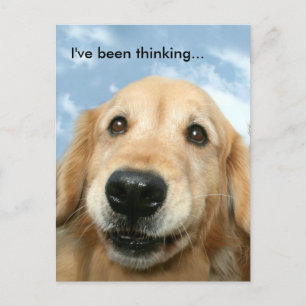 Golden Retriever I've Been Thinking Postcard