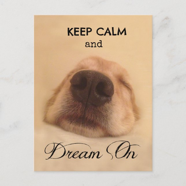 Golden Retriever Keep Calm Dream On Postcard (Front)