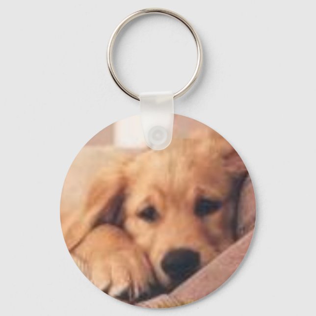 golden retriever key ring (Front)