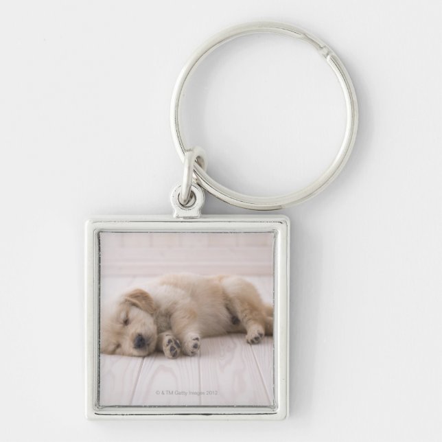Golden Retriever Key Ring (Front)