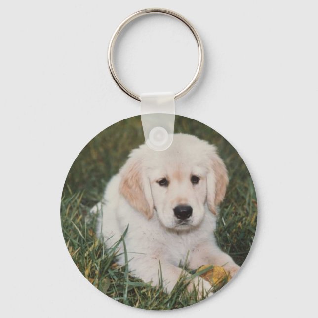 Golden Retriever Keychain Puppy (Front)