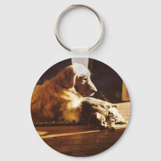Golden Retriever Keychain With Cat