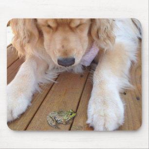 Golden Retriever Looking at a Frog Mouse Pad