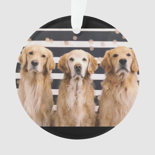 Golden Retriever Love Ornament (Front)