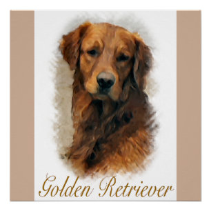 Golden Retriever Lovers Art Gifts Poster