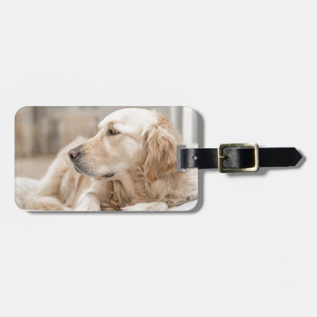 Golden Retriever Luggage Tag (Front Horizontal)