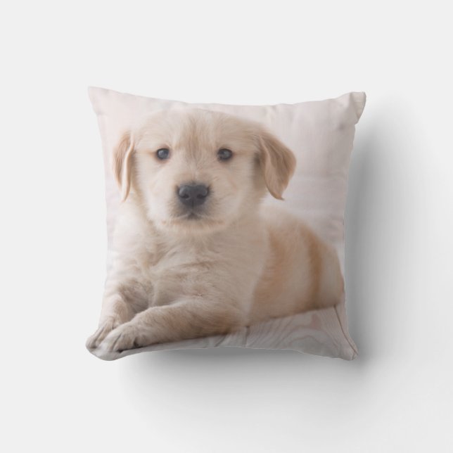 Golden Retriever Lying Down Cushion (Front)
