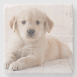 Golden Retriever Lying Down Stone Coaster