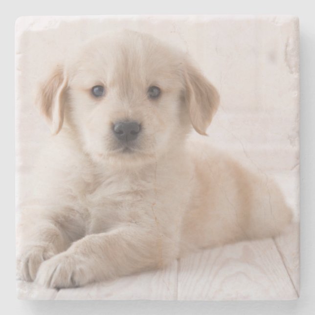 Golden Retriever Lying Down Stone Coaster (Front)