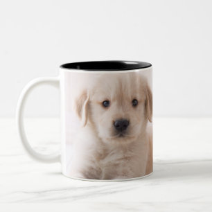 Golden Retriever Lying Down Two-Tone Coffee Mug