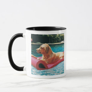 Golden Retriever Lying on an Air Bed in a Mug
