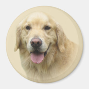 Golden Retriever Magnet