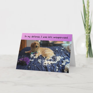 Golden Retriever Makes a Mess Funny Birthday Card