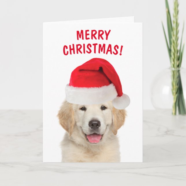 Golden Retriever Merry Christmas Holiday Card (Front)