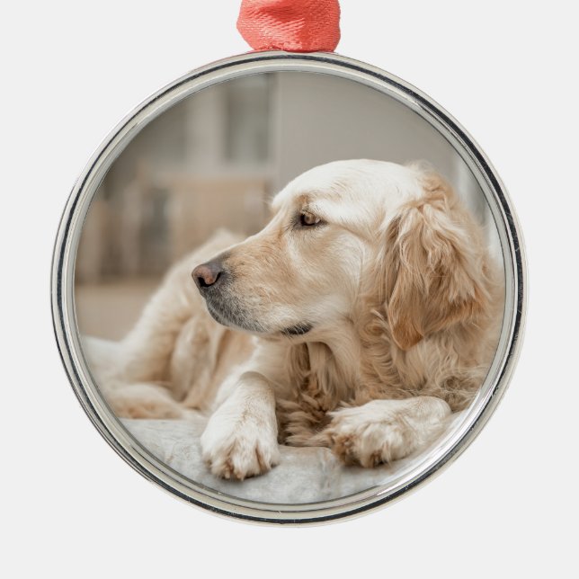 Golden Retriever Metal Tree Decoration (Front)