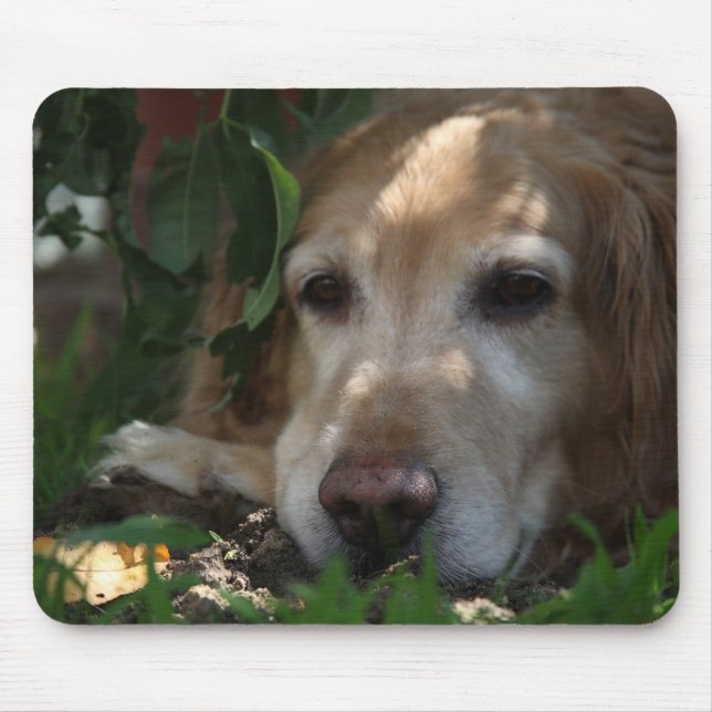 Golden Retriever Mouse Pad (Front)