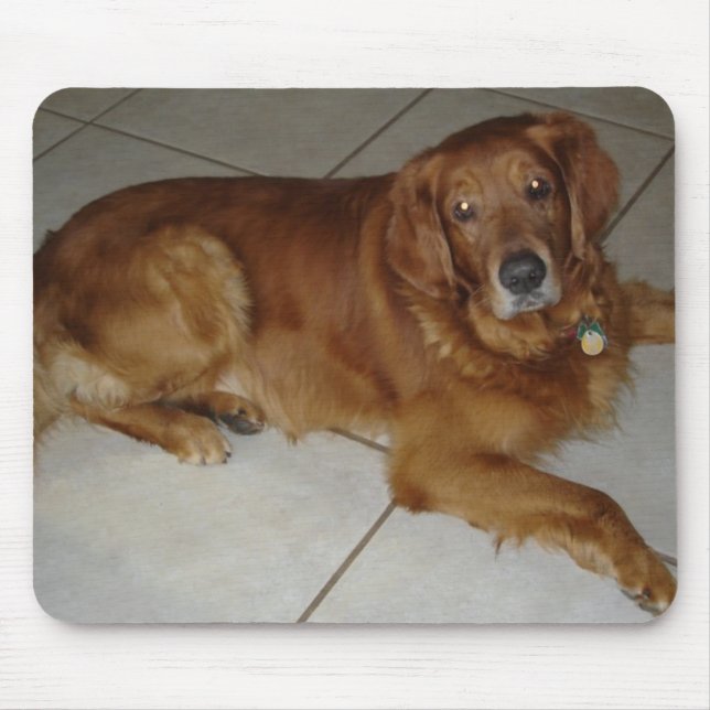 Golden retriever mouse pad (Front)