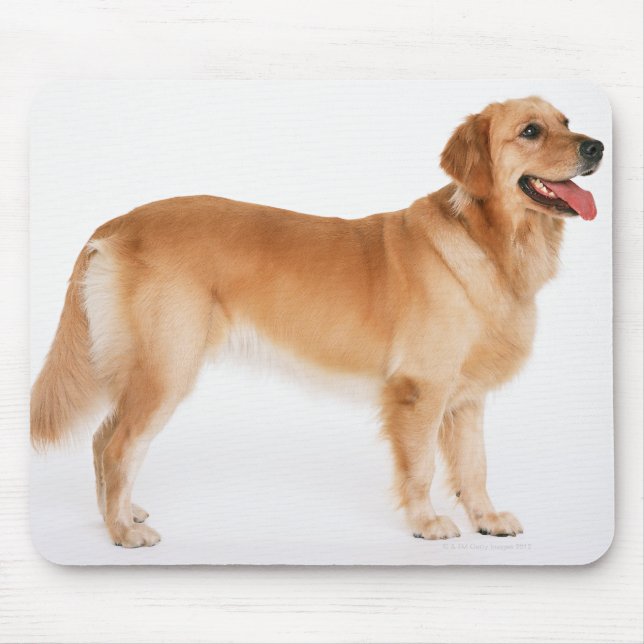 Golden Retriever Mouse Pad (Front)