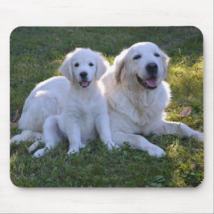 Golden Retriever Mum and Puppy Mouse Pad
