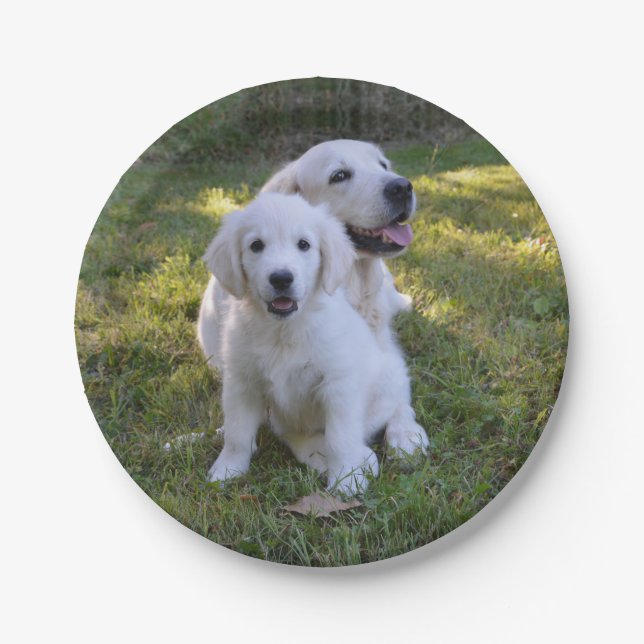 Golden Retriever Mum and Puppy Paper Plate (Front)
