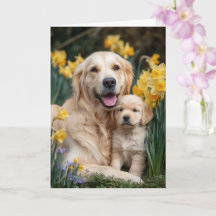 Golden Retriever Mum Mother’s Day Love