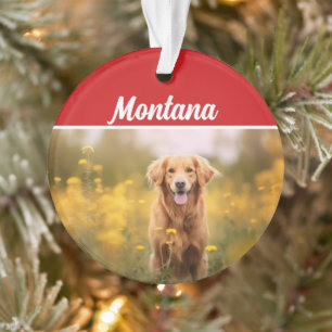 Golden Retriever Name and Photo Holiday Christmas Ornament
