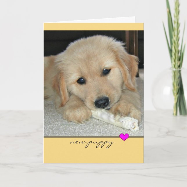 Golden Retriever New Puppy Greeting Card (Front)