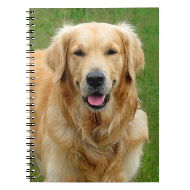 Golden Retriever Notebook (Front)