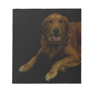 Golden Retriever Notepad