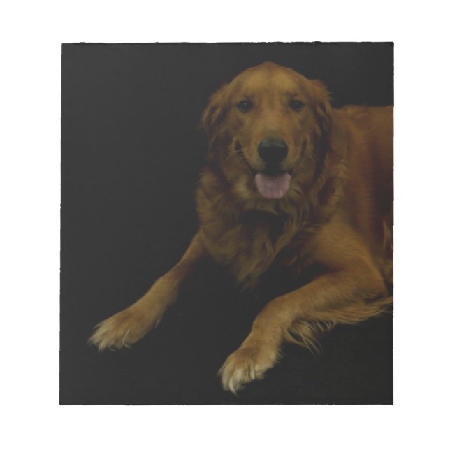 Golden Retriever Notepad (Front)