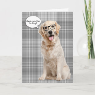 Golden Retriever on plaid birthday humour Card